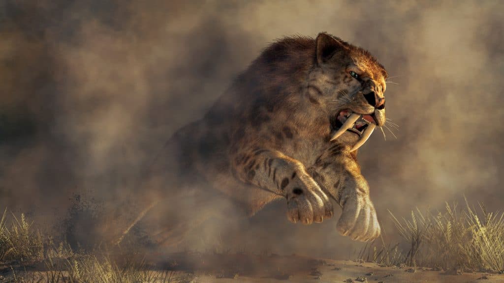 Interações entre predadores e presas podem ter levado à extinção do tigre-dentes-de-sabre - Imagem do artigo original
