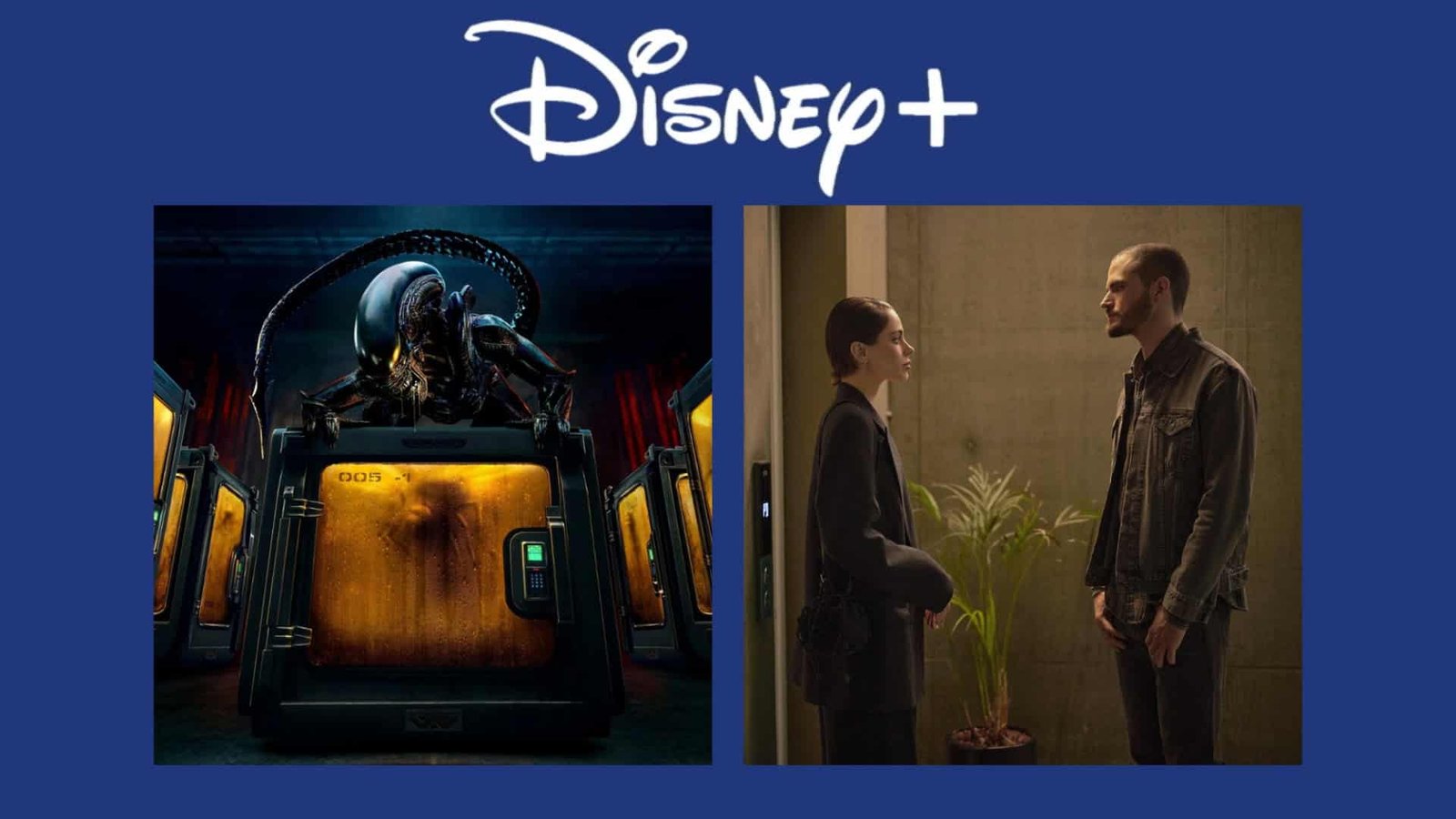 Disney+ anuncia estreias da semana com Alien: Earth, Colapso e atrações esportivas - Imagem do artigo original