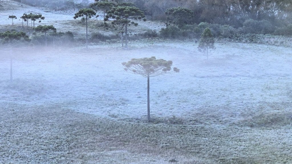 Frente fria derruba temperaturas e provoca geada no Sul e Sudeste no início da semana - Imagem do artigo original