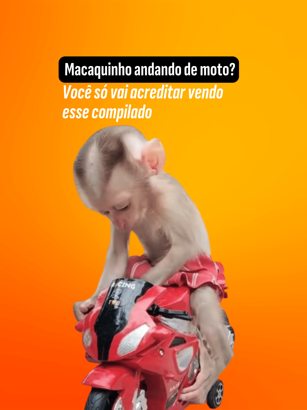 Google fecha acordos para reduzir consumo de energia de data centers de IA nos EUA durante picos da rede - Imagem do artigo original