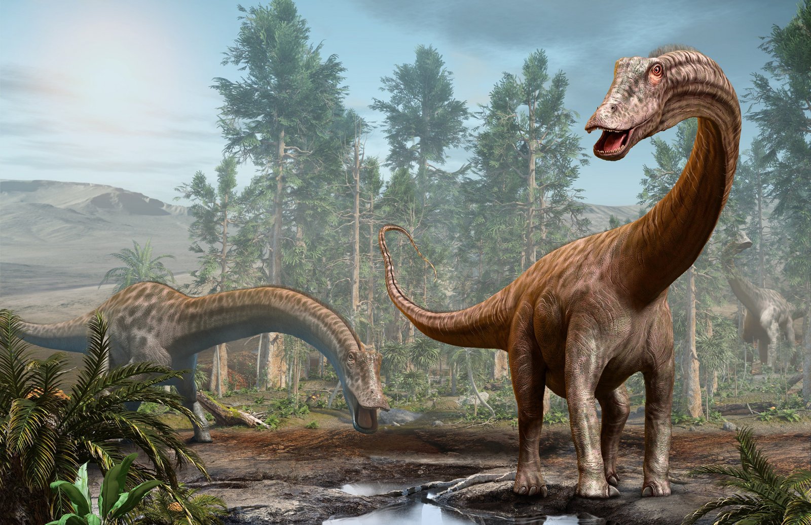 Doença óssea pode ter dizimado dinossauros no interior de São Paulo, revela estudo - Imagem do artigo